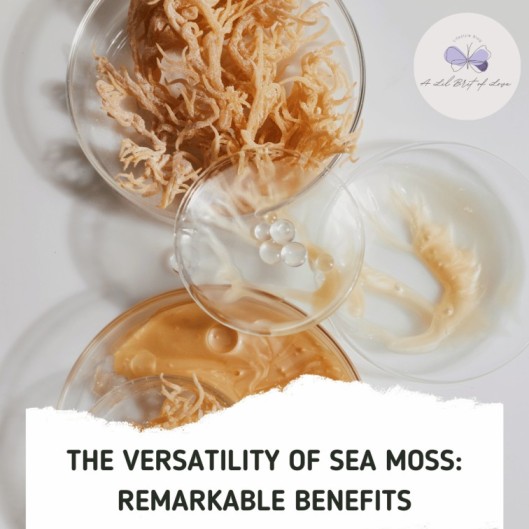 sea moss, health and wellness blog