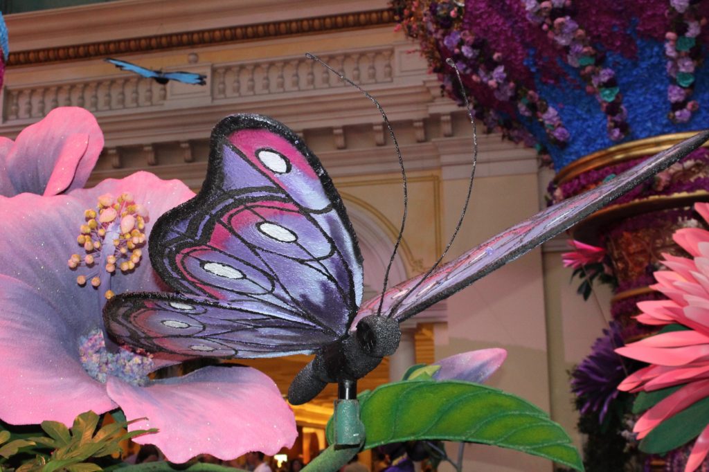 exploring las vegas, Bellagio botanical gardens